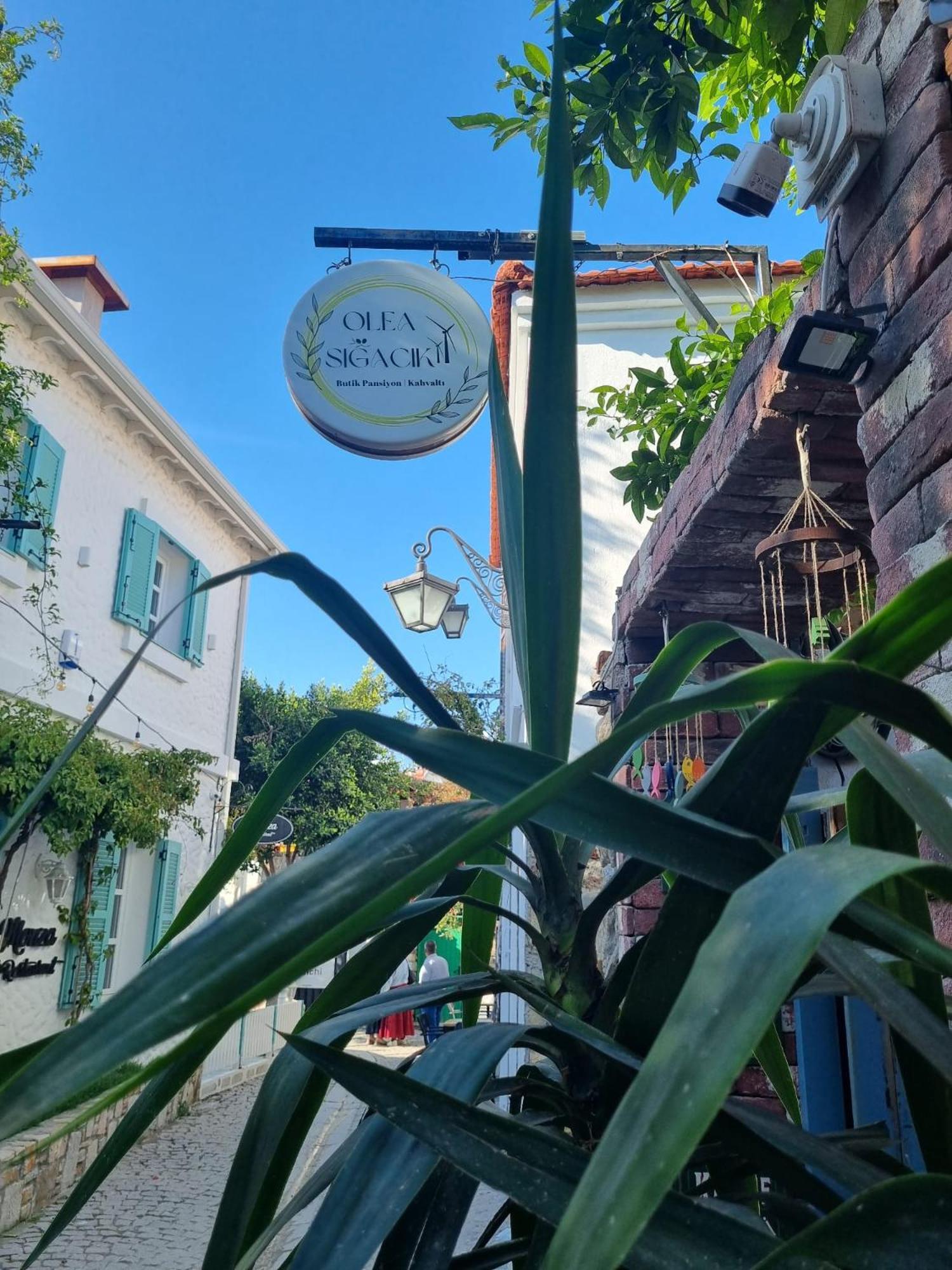 Olea Sigacik Pansiyon & Bistro Seferihisar Exterior foto